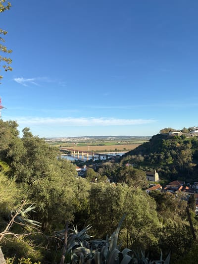 This image presents an elevated panoramic view of the Tejo (Tagus) River valley from Santarém, Portugal, likely from a viewpoint in the city's historic center.
In the immediate foreground, dense green vegetation covers a steep slope, featuring mature trees, thorny shrubs, and large agave plants (likely *Agave americana*). The lighting suggests a clear, sunny day, with shadows indicating a low sun angle.
The midground is dominated by the Tejo River, flowing horizontally across the frame. Spanning the river is the Ponte Salgueiro Maia, a prominent railway bridge characterized by its reddish-brown metal truss structure supported by multiple stone or concrete piers. Along the riverbanks and nestled in the valley below the viewpoint, scattered buildings with terracotta roofs are visible.
To the far left, a red and white lattice-style electricity transmission tower stands, with power lines extending across the landscape. On the right, a verdant hill ascends, topped with a cluster of white-walled buildings, including a prominent structure with a tower, indicative of Santarém's historic architecture. A smaller church with a bell tower is also visible lower on the right side of the valley.
The background transitions into expansive, flat agricultural plains (the Lezíria do Tejo), distinguished by varying shades of green and brown fields, extending towards a hazy horizon where distant settlements and hills are faintly discernible. The sky above is a clear, deep blue with minimal, wispy cirrus clouds. No individuals, discernible actions, or interactions are visible within the scene.