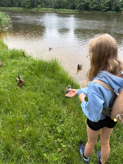 A young person with long blonde hair is feeding ducks by the edge of a calm body of water. The person is wearing a blue hooded sweatshirt, black shorts, and blue sneakers. They are leaning forward, extending their hand towards a duck that is partially on the grassy bank and partially in the water. Their other hand is holding something, presumably food for the ducks. Several other ducks are visible in the water and on the grass. The scene is set in a grassy area next to a lake or pond, with trees lining the far bank of the water. The lighting suggests it is daytime, likely a warm day, given the casual clothing. The atmosphere appears peaceful and serene, with the person engaged in a gentle interaction with the wildlife. The location is identified as Ulbroka, Latvia. There is no visible text in the image.