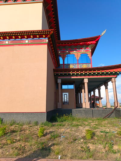 The image shows a Buddhist temple with distinct East Asian architectural elements. The building features a light beige stucco facade with a dark gray base. The rooflines are steeply pitched and painted in vibrant red and yellow, adorned with intricate decorative patterns in green, blue, and red. Large, reflective blue windows are visible on the upper floors. The lower level has a covered walkway supported by multiple large, reddish-brown pillars with decorative bases. The surrounding area is an undeveloped, sloped landscape with dry grass, scattered small green bushes, and some yellow wildflowers. A water irrigation system with blue connectors and white tubing is visible on the ground. The sky is a clear, bright blue. The image is taken from a low angle, emphasizing the scale and grandeur of the temple. No people are clearly identifiable in the foreground or midground. The temple is located in Verkhnyaya Ivolga, Russia.