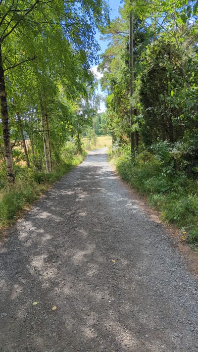 An eye-level, vertical shot captures a gravel pathway winding through a sun-dappled forest in Larkollen, Norway. The path, made of dark grey gravel and small stones, is bordered by lush green foliage and trees on both sides. The canopy of the trees creates dappled shade on the path, with sunlight filtering through the leaves. To the left, birch trees with white bark stand out against the darker greens. To the right, a denser collection of trees and shrubs forms a thick barrier. In the background, the path leads towards a sunlit field with more trees visible in the distance under a bright blue sky with scattered white clouds. A utility pole stands along the right side of the pathway. The scene is one of natural beauty and tranquility.