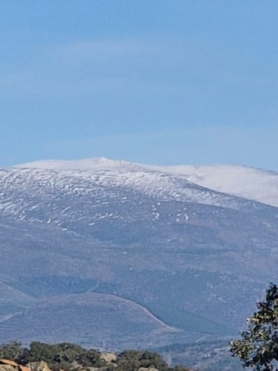 The image displays a panoramic landscape observed from an elevated vantage point in Collado del Mirón, Spain, under a clear, light blue sky. The upper portion of the frame is dominated by the unobstructed sky. Directly beneath, a prominent mountain range extends across the mid-to-background. The highest peaks of this range are topped with an irregular covering of white snow, interspersed with visible patches of darker, possibly rocky or sparsely vegetated terrain. Below the snowline, the mountains transition to a bluish-gray hue, indicating distance, and appear covered in a mix of scrubland or bare trees, with discernible contours and undulations across the slopes. In the immediate foreground, the right side features a partial view of the dark green foliage and branches of a tree canopy. The left foreground exhibits rough, uneven ground interspersed with rocky outcrops and sparse, dark green vegetation. No human subjects, animals, or artificial structures are identifiable within the scene. The lighting suggests full daylight conditions.