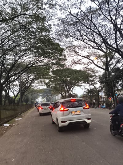 This image depicts a bustling road in Babakan Madang, Indonesia, characterized by dense overhead tree canopies that create a shaded environment. The time of day appears to be either early morning or late afternoon/dusk, evidenced by the soft, diffused light and the illuminated orange glow of a streetlight visible through the trees. The sky is overcast.
The primary subjects are vehicles and people navigating the road. Several cars, predominantly white SUVs/MPVs, are visible in a line, suggesting traffic congestion or slow movement, as indicated by their illuminated red brake lights. In the foreground, the rear of a white Mitsubishi Xpander is prominent, bearing the license plate "F 1713 NZ" with "05 27" below it. Further down the road, another white car shows the license plate "F 3397 PA." Motorcycles are also present, with one motorcyclist partially visible on the right side of the foreground.
Along the left side of the road, a dark metal fence separates the roadway from an elevated, possibly vegetated, area. The road surface itself appears to be asphalt, with some litter visible on the unpaved shoulder. On the right side, beyond the flow of traffic, several people are gathered or seated on the ground near what appears to be a small, informal roadside setup. A red traffic light can be faintly seen in the distance, hinting at an upcoming intersection. The scene captures a moment of daily commute or travel amidst the characteristic lush greenery of Indonesia.