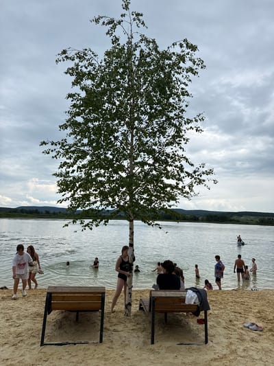 The image depicts a serene lake scene on an overcast day, with a prominent birch tree in the foreground. Several people are present, some wading in the shallow water, while others are on the sandy shore. One individual is paddling on a board in the distance. The environment includes a sandy beach, a calm body of water, and a treeline in the background. The specific location is identified as Verkhotor, Russia.