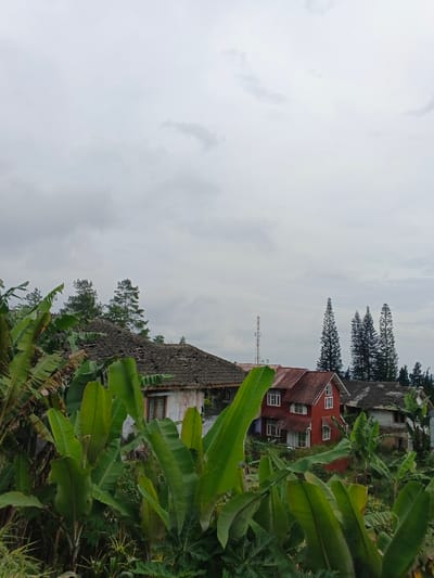 The image presents an elevated view of a residential area within the city of Kabiufa, Papua New Guinea, under an overcast sky. In the foreground and midground, dense, large green banana leaves and other tropical foliage partially obscure the scene. Three structures are visible in the midground: a single-story house on the left with light-colored, stained walls and a significantly damaged dark-tiled roof showing numerous missing tiles; a two-story red-painted house in the center, featuring a dark red roof, multiple white-framed windows, and white trim; and a partially visible structure to the right with a dark roof and light-colored walls, also appearing worn. A tall, slender metal lattice communication tower with multiple antenna arrays stands in the mid-background between the left and central houses. Several tall, dark green coniferous trees are visible behind and to the right of the houses. No individuals are present.