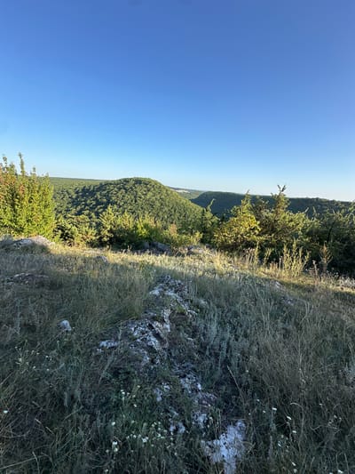 The image depicts a scenic view of rolling, densely forested hills under a clear blue sky. In the foreground, the terrain is rocky and covered with dry grasses and scattered small white wildflowers. Some bushes and trees are visible closer to the viewpoint. In the distance, more forested hills stretch towards the horizon, with a few buildings or structures faintly visible. The sunlight suggests it is either early morning or late afternoon, casting long shadows. The location is identified as Pryvorottia Druhe, Ukraine. There are no people or animals present in the scene.
