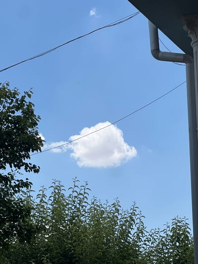 An outdoor, eye-level, medium shot captures a clear blue sky with a single fluffy white cloud in the center. The cloud appears slightly elongated, resembling a tadpole. To the left, the dark green foliage of a tree occupies the lower left quadrant. Along the top of the image, two dark wires stretch diagonally across the sky. On the right side, a portion of a building's gutter system, made of light-colored material, is visible, along with part of a decorative column. The lower portion of the image is filled with the tops of green leafy bushes. There are no people or animals visible in the scene. The image is likely taken in Navoiy City, Uzbekistan, given the context.
