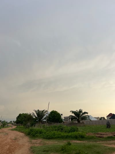 The image depicts a rural scene in Zanzi, Nigeria, with a dirt road leading into a vegetated area. Palm trees and other lush greenery dominate the midground, interspersed with several structures, including what appear to be houses with modern architectural elements and a water tower. The sky is overcast with diffused light, suggesting either early morning or late afternoon. A single utility pole with wires stands prominently on the right side of the road. A lone figure, possibly a child, is visible walking on the road in the distance to the left. The foreground shows the dirt road and patches of grass. The overall impression is one of a developing community with a blend of natural landscape and ongoing construction.