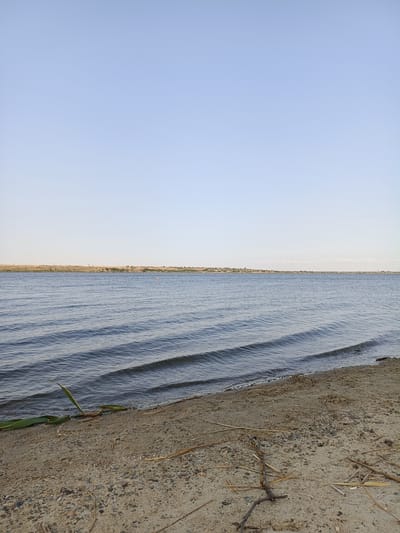 This media file depicts a tranquil, wide body of water with a sandy shoreline in the foreground. The water's surface is gently rippled, indicating a calm day with a slight breeze. The sky above is a clear, pale blue, suggesting it is daytime, likely late morning or afternoon, with fair weather.
The shoreline is composed of sand mixed with small pebbles and scattered dry vegetation, such as reeds and twigs. A few long, green leaves lie near the water's edge on the left side of the frame. The opposite bank of the water body is visible in the distance, characterized by a line of dry, light-brown grasses and some scattered structures that could be buildings or power lines, hinting at a settled area. The horizon is flat, with the water meeting the sky in a soft line.
There are no people or obvious human activities in the scene. The overall mood is peaceful and serene, with the natural elements of water, sky, and earth dominating the composition. The location appears to be a natural or semi-natural waterfront, possibly a lake, river, or bay, given the expanse of water. The context of Nezavertaylovka, Moldova, would place this scene in a specific geographical region of Eastern Europe. There is no visible text in the media file.