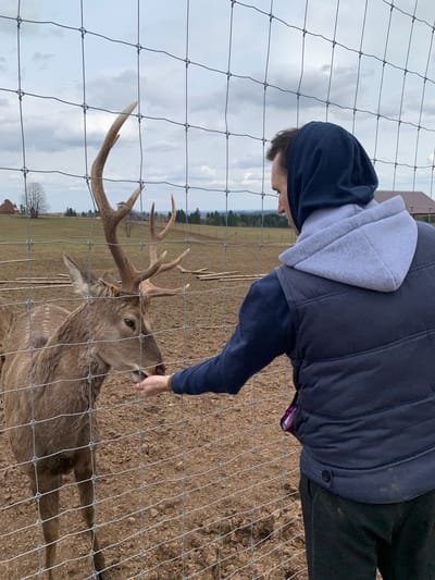 A person wearing a blue hoodie with a grey hood and a grey vest is seen feeding a deer through a wire fence. The deer has large antlers. The ground is dirt. In the background, there are green fields and trees under a cloudy sky. The location is Stary Chultem, Russia.