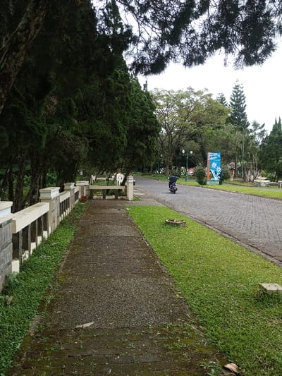 A winding road stretches through a lush park landscape. A motor scooter heads down the road. A stone pathway lined with overgrown vegetation runs parallel to the road, bordered by a low, weathered wall. Tall, dense trees tower over the scene, their branches casting shadows. A sign displaying information stands near the road, surrounded by greenery. The sky is overcast, lending a subdued light to the tranquil setting.