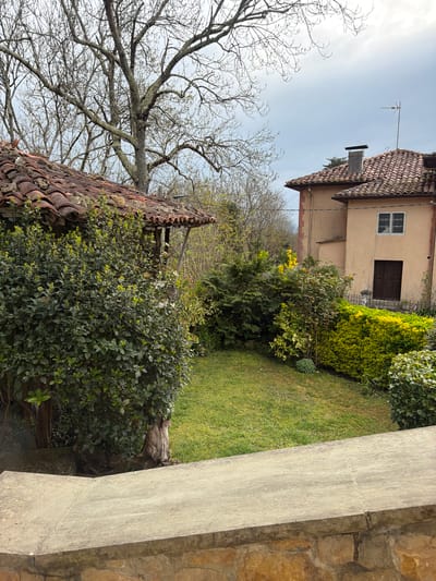 The image depicts an exterior view in Parres, Spain, characterized by residential architecture and cultivated vegetation under an overcast sky. In the immediate foreground, a light-colored, flat stone coping caps a dry-stacked stone wall. Beyond this wall, a manicured lawn occupies the central midground. To the left, a portion of a structure with a reddish-brown terracotta tiled roof is partially obscured by a dense, dark green broadleaf shrub. Bare deciduous tree branches extend into the upper left quadrant of the frame. To the right of the lawn, a variety of shrubs and small trees are visible, including some with bright green and yellow foliage, one exhibiting yellow blossoms. Further back on the right, a two-story building features a light beige stucco facade, a dark brown wooden door at ground level, and a white-framed window on the upper floor. Its roof is composed of reddish-brown terracotta tiles, topped with a dark chimney stack and a metallic television antenna. Additional bare tree branches are discernible against the light grey sky in the upper right. No individuals or discernible activities are present.