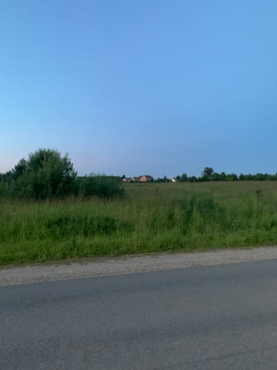 The image depicts a rural scene, with a wide expanse of tall green grass stretching towards a treeline and a distant cluster of buildings. A paved road runs along the right edge of the frame, separated from the field by a narrow strip of gravel and grass. The sky is a clear, soft blue, suggesting it is either early morning or late evening, indicated by the gentle lighting and lack of harsh shadows.

The buildings in the distance appear to be a small village or farmstead, with roofs of various colors visible among the trees. The overall atmosphere is peaceful and serene, evoking a sense of quietude and natural beauty. No people or specific objects are prominently featured, allowing the landscape itself to be the main subject. The time of day is clearly indicated by the sky's color and the soft lighting. The location cues, such as the type of vegetation and the style of buildings, are consistent with a rural setting in Russia. There is no visible text in the image.