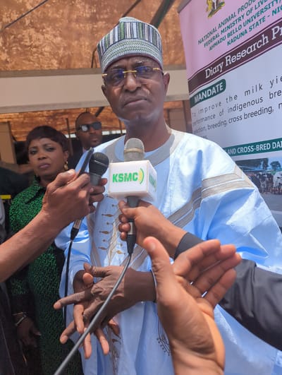 A middle-aged man in traditional African attire, including a patterned cap and glasses, is the focal point of an outdoor press conference setting. He is standing in front of a banner that reads "Diary Research Programme," which lists "MANDATE" as improving the milk yield and the performance of indigenous breeds. Microphones from various media outlets, including one with the "KSMC" logo, are positioned near his face, suggesting he is speaking or about to speak. Several reporters are holding the microphones. In the background, partially obscured figures can be seen, including a woman in a green patterned top and a man wearing sunglasses. The location details given are Unguwan Sanusi, Nigeria.