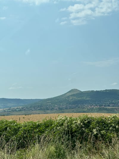 The image depicts a rural landscape with a village nestled in the foothills of rolling green hills under a clear blue sky with sparse clouds. In the foreground, a dense hedge with white flowers and tall dry grasses dominates the view, suggesting a roadside or field edge. Beyond the hedge, a golden field of crops, likely wheat or barley, stretches across the midground. Further back, a village with red-tiled roofs is visible scattered across the slopes of the hills. The most prominent feature is a conical hill with a distinct summit, possibly a man-made structure or natural landmark, rising above the treeline of the other hills. The overall scene suggests a peaceful, sun-drenched day in the countryside of Novi Pazar, Bulgaria, likely during the harvest season given the appearance of the golden field. There are no people or animals visible in the image. The photograph appears to have been taken from a moving vehicle, given the slight motion blur in the foreground vegetation.