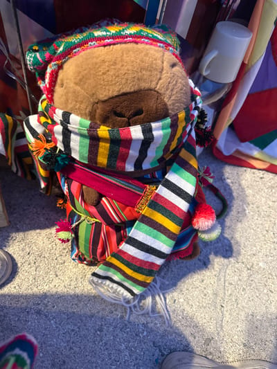 A stuffed bear toy is partially covered in brightly colored, striped fabric. The bear's head is visible, with a knitted hat in green, red, and other colors. Additional items surround the bear, including a white mug, a colorful flag, and what appears to be the corner of a magazine or book. The objects are sitting on an outdoor surface, with sunlight casting shadows to the right. A shoe is visible in the upper right corner.