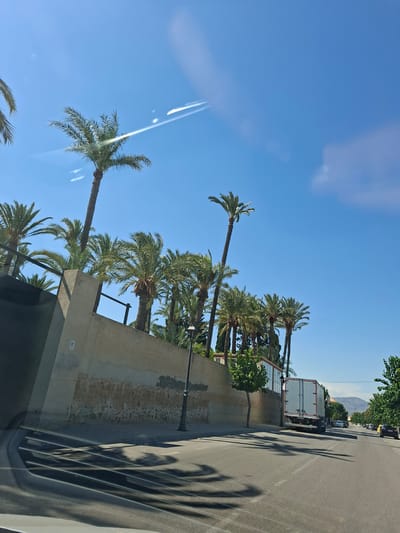 This image depicts a sunny day in Granja de Rocamora, Spain. The scene is a street lined with palm trees, casting long shadows across the asphalt. A white box truck is parked on the right side of the road, and in the distance, mountains can be seen. The sky is a clear blue with a few wispy clouds and two distinct contrails from an airplane. The perspective suggests the photo was taken from inside a vehicle, possibly through a window, as evidenced by some reflections and glare. The overall mood is tranquil and warm, characteristic of a Mediterranean climate. There are no people visible in the frame. A lamppost stands on the left side of the road, near a stone wall. A small white electrical outlet is visible on a concrete structure in the middle left of the image.