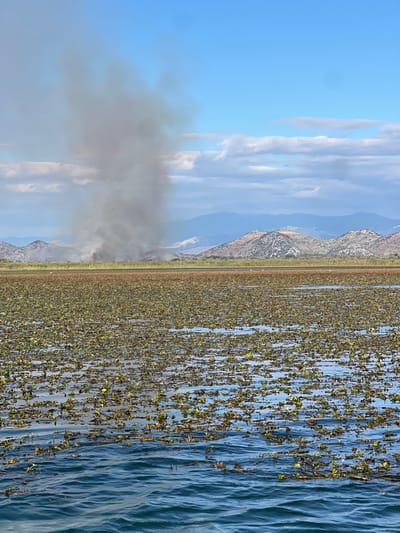 This image presents a wide-angle view of a natural landscape in Braćeni, Montenegro. The foreground is dominated by choppy, dark blue water transitioning into a vast expanse of a lake or marsh covered with dense aquatic vegetation, primarily green and yellowish-brown floating plants. In the distant midground, a distinct, thick column of dark grey smoke rises vertically from an active fire located on dry land beyond the water. The background features a range of undulating hills and mountains under a partly cloudy sky, which displays patches of blue and scattered white and light grey clouds. No individuals, vehicles, or identifiable structures are visible within the scene. The image depicts an environmental event with a significant fire.