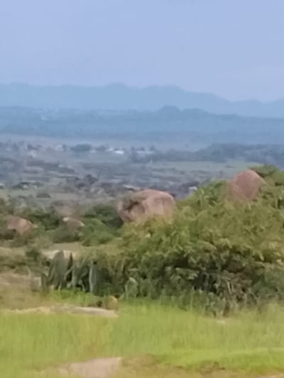 A wide shot depicts a hazy landscape with rolling hills and distant mountains under a pale sky. In the foreground, green grass covers the ground, with a few scattered rocks and shrubs. Several large, rounded boulders are visible amongst the vegetation, some with reddish-brown hues. In the middle ground, there is a more densely vegetated area with trees and bushes, and further back, a hint of scattered buildings and fields suggest a rural or semi-rural settlement. The overall impression is one of a natural, somewhat undeveloped environment, possibly a viewpoint overlooking a valley or a settlement within a hilly region. The scene is captured with a low-resolution camera, resulting in a blurred and soft focus throughout the image. It is not possible to determine the specific location within Barakin Acha, Nigeria, from the visual information provided.