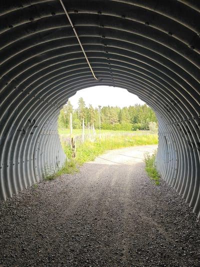 The image depicts the interior of a corrugated metal tunnel, viewed from within. The tunnel curves to the left, with its ribbed metal walls filling the foreground and left side of the frame. A thin, light-colored pipe or cable runs along the interior ceiling of the tunnel on the left side. The tunnel opens to a bright outdoor scene.

The outdoor environment consists of a gravel path on the right side, leading away from the tunnel entrance. To the left of the path, a field of green grass and some taller vegetation, possibly wildflowers, is visible. In the background, a dense line of green trees forms a treeline under a bright sky. A few slender poles, possibly fence posts or lampposts, are scattered in the grassy area.

The lighting suggests it is daytime, likely sunny given the bright exposure of the outdoor scene. The overall mood is neutral, focusing on the architecture of the tunnel and the natural scenery beyond. No people are visible in the image. The location is identified as Mäntsälä, Finland. There is no discernible text in the image.