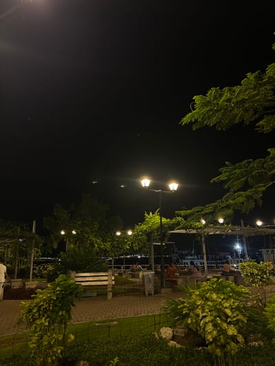 This image depicts a nighttime scene in a public park or promenade area in Ancón, Panama. The foreground features manicured landscaping with green bushes, grass, and trees, illuminated by multiple warm-toned streetlights. A brick-patterned paved walkway is visible, leading towards wooden slatted park benches. A gray trash receptacle stands near a bench.
In the midground, several individuals are present. One person in a white shirt is partially visible on the far left. Further into the scene, under pergolas or covered seating areas, groups of people are seated at tables. At least two individuals are visible at one table, and another individual is seated at a separate table. Their actions appear to be social or leisurely.
The background reveals a body of water, likely a bay or harbor, where multiple boats or ships are docked or anchored. Their illuminated outlines and some structure lights are visible against the dark expanse of water. The sky above is dark, indicating night, with no visible stars or moon. Tree foliage, particularly a large leafy branch, frames the upper right portion of the image. The overall illumination is provided by numerous streetlights and smaller decorative lights integrated into the park's structures.