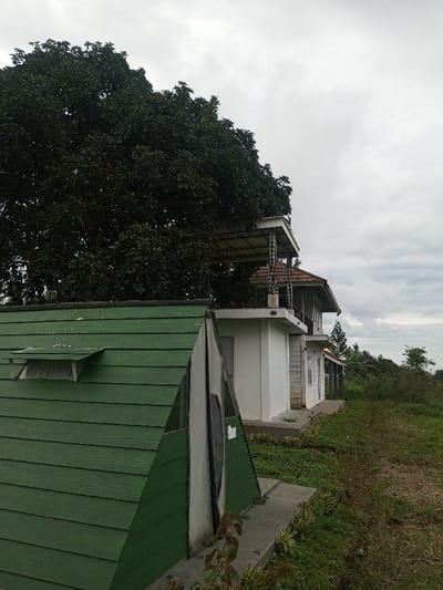 A scene, identified as being in Abbireddygudem, India, is presented under an overcast sky. In the foreground, a green, A-frame structure with horizontal siding is visible on the left, featuring a small, open window vent on its upper left side and a vertical, light-colored fabric entrance on its right side, resting on a concrete base. Behind and to the right of this structure, a series of white-walled buildings extends. The nearest white building has a flat roof with an elevated, open-air balcony structure above it, supported by two white pillars. This upper structure has a metal or corrugated roof and dark checkered fabric draped from its railing. Further right, additional white buildings with brown-tiled roofs are visible. A large, dense green tree occupies the upper left and central portions of the frame, partially obscuring the upper sections of the buildings. The ground in front of and to the right of the structures consists of green grass and low-lying vegetation, extending into a more sparsely vegetated area on the far right. No individuals or specific actions are depicted within the frame.