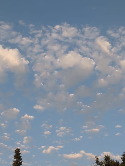 The image shows a clear blue sky with scattered white cumulus clouds. The sun appears to be low in the sky, possibly late afternoon or early morning, as some clouds are illuminated with a warm, yellowish light. The bottom of the image features the tops of several trees, suggesting an outdoor scene in a relatively natural setting. There are no people or specific landmarks visible that would definitively place the image in Baku City, Azerbaijan, although the presence of trees and a sky with clouds is consistent with an outdoor environment in that location. The image is a vertical composition, emphasizing the expanse of the sky.