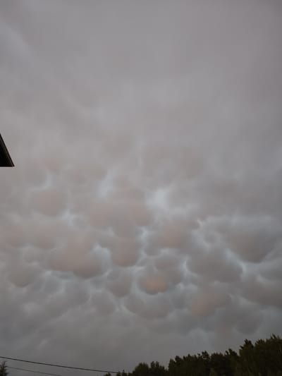 This media file depicts a dramatic cloud formation over a forested landscape, likely in the Moscow region of Russia. The sky is dominated by mammatus clouds, characterized by their pouch-like or breast-like protrusions hanging from the underside of a cloud. These clouds, rendered in shades of gray, white, and a faint pinkish hue, suggest an impending storm or turbulent weather conditions. The lighting is dim, indicating either early morning or late evening.
In the lower portion of the frame, a dense line of dark green trees forms a stark contrast against the ethereal sky. The foliage is dense, suggesting a mature forest. A black power line stretches horizontally across the bottom of the image, intersecting the treeline. To the upper left, a small portion of a dark, sloped roofline of a building is visible, hinting at a nearby human settlement. The overall mood is one of awe and perhaps a touch of foreboding, evoked by the unusual and intense cloud formations. There is no visible text in the media file.