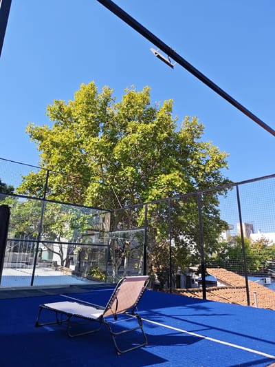 A daytime shot depicts a blue paddle tennis court in Victoria, Argentina. A metal frame surrounds the court, with wire mesh along the sides and glass panels on the back wall, offering a view of buildings and trees. A single tan-colored lounge chair sits unoccupied on the blue surface. A large tree with green leaves is positioned outside the court, behind the back wall. Above the court, a black metal beam with a spotlight attached is visible against a clear blue sky.