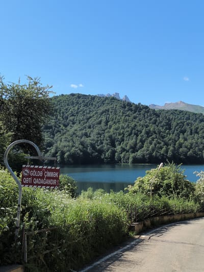 A sign reading "GÖLDƏ ÇİMMƏK QƏTİ QADAĞANDIR!" in Azerbaijani, which translates to "Swimming in the lake is strictly forbidden!", is posted on a metal pole near a road. The sign is red and white and depicts a crossed-out swimmer. Behind the sign, a calm blue lake is visible, surrounded by a dense, green, tree-covered mountain range. The sky above is clear and blue. The road in the foreground is paved and appears to be a park or scenic route, with a low, weathered metal fence separating it from a lush green embankment covered in various plants and wildflowers. A single street light is also present among the vegetation. The overall scene suggests a natural landscape with a prohibition against swimming in the lake.