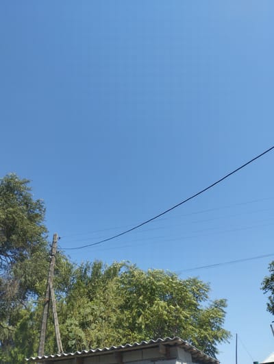 The image displays a clear blue sky above a line of trees and a utility pole. In the foreground, a section of a simple structure with a corrugated roof is visible. Power lines are strung across the sky, supported by the utility pole. The scene appears to be outdoors, possibly in a semi-rural or residential area. There are no people or animals visible in the image. The lighting suggests it is daytime.