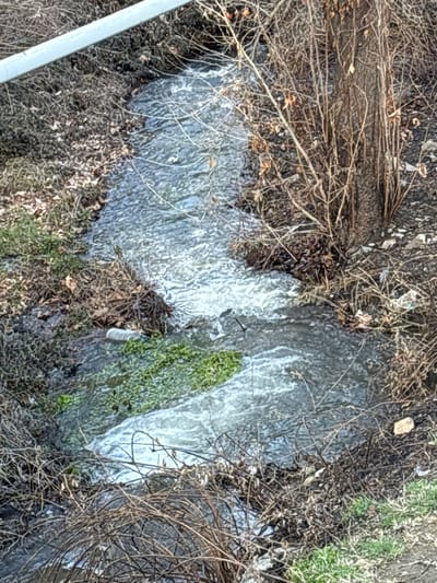 The scene displays a narrow, actively flowing stream situated within Lehvaz, Armenia. The water is turbulent, exhibiting greyish tones with white foam and surface ripples, moving from the upper left towards the lower right. Both banks are vegetated, primarily with dormant, leafless deciduous shrubs and dry, brown organic debris. On the left bank, a distinct patch of vibrant green aquatic vegetation is visible within the water. Adjacent to this green growth, a single, translucent, cylindrical plastic bottle is partially submerged in the stream. The right bank features a denser accumulation of bare, brown branches and the base of a single tree trunk. The ground on the right bank appears dry and uneven, with scattered debris. A light grey, horizontal structural element, possibly a barrier or railing, is partially visible in the upper left portion of the image. No individuals, overt actions, or direct interactions are observed within the frame.