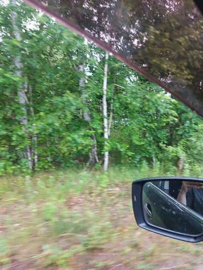 The image shows a view from inside a vehicle traveling through a wooded area in Novolistvyanka, Russia. The foreground features a side-view mirror reflecting a person's arm and shoulder. The background is a blur of green trees and vegetation, indicating motion. The overall scene depicts a scenic drive through a natural environment.
