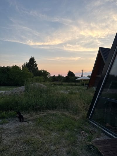 In Vol'noe, Russia, a black cat is perched on a gravel path in a grassy area. To the right, the angular structure of a modern A-frame house with large glass windows is visible. Beyond the cat and the house, a landscape of trees and vegetation stretches towards a pale sky with wispy clouds, indicative of dusk. A white umbrella stands in the middle ground, and a utility pole with wires is also present. The overall scene suggests a rural or semi-rural setting at the end of the day.