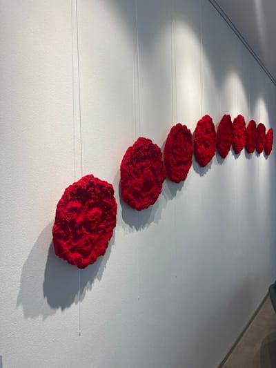 The scene depicts an art installation within an indoor gallery in Galatina, Italy. Eleven roughly oval-shaped, textured objects, colored vivid red, are arranged in an ascending diagonal line against a light grey, textured wall. Each object exhibits an irregular, crumpled surface texture, and their sizes diminish progressively from the largest on the far left to the smallest on the far right. Individual objects are suspended by a pair of thin, translucent lines. Overhead lighting casts pronounced shadows from the objects onto the wall, with vertical streaks of light visible on the upper wall. A dark floor surface is partially visible in the lower right frame. No individuals are present in the image.