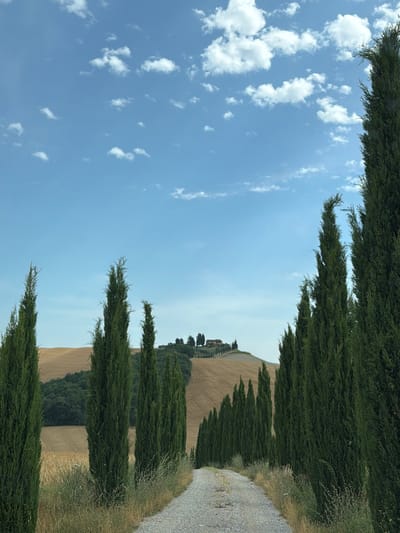 A gravel road curves through a Tuscan landscape, lined with tall, slender cypress trees on either side. In the distance, a cluster of buildings sits atop a rolling hill. The sky above is a vibrant blue, dotted with fluffy white clouds. The foreground features dry grass and other vegetation along the side of the road. The scene is idyllic and tranquil, evoking a sense of timeless beauty and natural splendor. The location is Asciano, Italy, a region known for its picturesque rolling hills and cypress-lined roads.