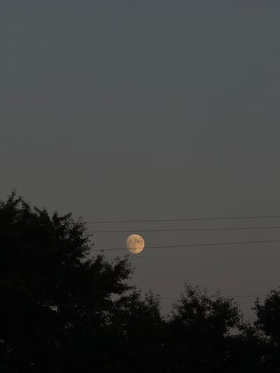 This media file shows a full moon in a dusky sky, partially obscured by thin wires. The moon is a pale yellow and appears slightly hazy, with visible surface details. Several dark, vertical lines, presumably power lines or telephone wires, crisscross the frame, some passing in front of the moon. On the right side of the image, the silhouette of a dense, leafy tree is visible, its branches reaching upwards and casting shadows. The sky is a uniform, muted grey, suggesting it is either early morning or late evening, possibly twilight. The overall atmosphere is calm and somewhat serene, with a hint of mystery due to the wires and the dim lighting. There is no visible text or human activity. The location context is Novosilka, Ukraine.