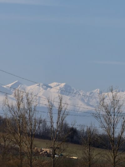 The image depicts a panoramic view of a rural landscape in Hoghiz, Romania, under a clear, light blue sky. In the distant background, a prominent range of snow-capped mountains stretches horizontally across the frame. Multiple dark, thin power lines traverse the sky and mid-ground horizontally, intersecting the lower portion of the sky and the upper sections of the foreground trees. The mid-ground consists of rolling terrain with patches of brownish-green vegetation and a sparse line of deciduous trees without foliage. In the lower mid-ground, specifically on the left side, a collection of circular or irregularly shaped objects, possibly hay bales, is visible. Further to the right in the mid-ground, a single light-colored, rectangular object rests on the ground. The immediate foreground is dominated by several tall, bare deciduous trees, their branches devoid of leaves, indicating a winter or early spring season. No human figures or direct human activities are observable.