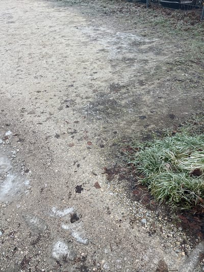 This image presents an overhead view of a textured ground surface, likely a path or an area alongside one, captured during cold weather. The ground is a mix of compacted dirt, small pebbles, and scattered larger stones, displaying a range of grey, brown, and dark tones. Patches of white, indicative of frost or thin ice, are visible across the surface, notably in the lower right and central areas.
Along the upper edge, a vibrant patch of green, grass-like vegetation is prominent, heavily covered in white frost, giving it a striking, almost silvery appearance. Interspersed with this frosted greenery and scattered across the ground are dark brown, fallen leaves, suggesting either late autumn or winter. On the far left side of the frame, a dark, metallic grate or the lower section of a fence is partially visible.
The scene depicts no active event or individuals. The diffused, cool lighting suggests an overcast sky or perhaps early morning/late afternoon conditions during a cold day. The presence of frost on both the vegetation and the ground clearly indicates freezing or near-freezing temperatures. The overall impression is a quiet, natural scene in an outdoor environment, consistent with a park or urban green space in a location like Bamberg, Germany, during the colder months. No visible text appears in the image.