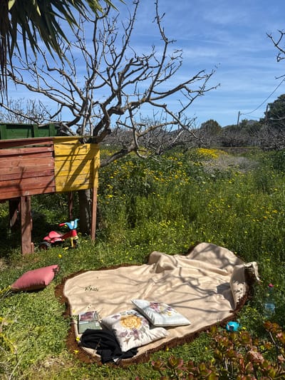The image displays an outdoor scene in Aegina, Greece, under a clear blue sky with faint, wispy clouds. The foreground and midground consist of a vibrant green field densely covered with small yellow wildflowers.

In the mid-left, a wooden play structure is elevated on posts; its lower section features panels painted red and yellow, while an upper section, partially visible, is painted green. Beneath this structure, a red child's tricycle with a blue seat and handlebars is parked on the grass. A large, bare deciduous tree with intricate, spreading branches stands prominently in the center of the image, casting shadows.

On the grass in the lower center-right, a beige blanket with a brown fringed edge is spread out. Two decorative pillows, one light blue with a floral pattern and one beige with a yellow floral design, rest on the blanket. An open book or magazine lies on the blanket, partially covered by a piece of black fabric. A plain pink pillow is positioned on the grass to the left of the blanket. Near the right edge of the blanket, a plastic water bottle with a pink cap and a small blue plastic toy are visible. In the lower right foreground, a cluster of succulent plants with reddish-green leaves is present.

The background shows more bare trees, a low stone wall, and distant hills or mountains under the bright sunlight. Utility poles and power lines are visible in the upper right background. A green palm frond is partially visible in the upper left corner of the frame. No individuals are present in the scene.