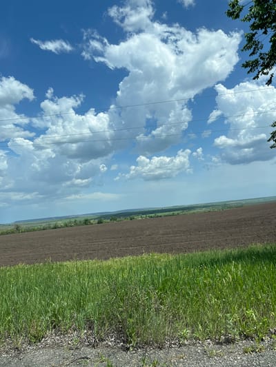 The image depicts a rural landscape, featuring a field of tilled soil on the right side, adjacent to a patch of green grass and a gravel-covered area along the bottom edge. The left side of the image is dominated by a blue sky filled with white cumulus clouds, with electrical power lines visible. A tree branch with green leaves is visible in the upper left corner. The location is Novolativka, Ukraine. There are no people or subjects in the image. The environment appears to be rural.
