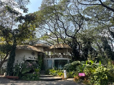 A whimsical, mushroom-shaped building nestled within a lush, overgrown garden is visible. The structure has multiple rounded roofs and a balcony-like area. A woman in white walks along a path in front, past a sign and dense foliage. Towering trees surround the building, their branches interlacing to create a canopy overhead. The overall atmosphere is enchanting and serene, with nature and architecture harmonizing.