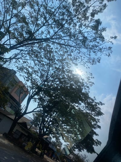 A low-angle shot captures a view through tree branches toward a bright sky with scattered clouds. The sun is positioned in the upper center, partially obscured by foliage, creating lens flare. To the left, a multi-story building with light pink and grey facades is visible, along with a section of roof that appears to be residential. Power lines crisscross the scene. In the foreground, a street runs diagonally, bordered by low-lying structures that seem to be shops or market stalls. A motorcycle is parked on the street. The overall scene suggests an outdoor urban or semi-urban environment.