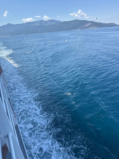 An elevated, medium shot captures a dynamic seascape as a ferry navigates through the Aegean Sea, approaching the island of Thassos, Greece. The foreground is dominated by the wake of the ferry, a frothy white trail of churned water that contrasts sharply with the deep blue of the sea. The ferry's white railing is visible along the left edge of the frame, indicating the viewer's perspective from the deck.
Beyond the ferry's wake, the sea stretches out, its surface rippled by the movement of the boat and a gentle breeze. Numerous seagulls are scattered across the water and in the sky, some soaring gracefully, others in flight just above the waves. They add a sense of life and motion to the scene.
In the distance, the lush green mountains of Thassos rise majestically, their slopes covered in dense vegetation. The coastline is visible, a line of demarcation between the sea and the land. The sky above is a vibrant blue, dotted with a few fluffy white clouds, suggesting a clear, sunny day. The overall impression is one of a journey through a beautiful, natural landscape under a benevolent sky.