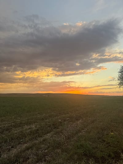 The image depicts a vast, open landscape under a dramatic sunset sky, captured in the vicinity of the village of Umbetaly Karibaev, Kazakhstan. The foreground is dominated by a field of green grass, with patches of dry, disturbed earth suggesting agricultural activity or natural erosion. The horizon is marked by a low, undulating line of hills or elevated terrain.

The sky is the most striking element, filled with a complex arrangement of clouds. The lower portion of the sky, closer to the horizon, is ablaze with the warm hues of sunset, transitioning from vibrant orange and yellow near the sun to softer pinks and peaches. Higher clouds are a mix of dark grays and lighter, silhouetted forms, with hints of illuminated edges where the sunlight catches them. The overall effect is one of a dynamic and atmospheric evening sky.

In the middle distance, several structures are visible, appearing as small buildings or farmhouses, nestled against the far hills. The light of the setting sun casts long shadows, enhancing the sense of depth and the vastness of the open space. The presence of a single tree on the far right edge of the image provides a subtle vertical element against the horizontal expanse of the landscape. The scene appears serene and uninhabited, conveying a sense of rural tranquility.