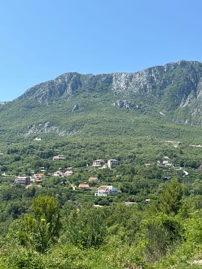 The image depicts a rural hillside village nestled against a large, tree-covered mountain under a clear blue sky. The village is comprised of numerous houses with red-tiled roofs, scattered amongst the dense green foliage. Some houses appear to be larger, modern villas with white exteriors, while others are smaller, more traditional structures. Terraced slopes are visible in the mid-ground, suggesting agriculture or landscaping. The foreground is dominated by lush green vegetation, including trees and bushes. The mountain itself is rugged and rocky, with patches of exposed stone, and is covered in a dense canopy of trees. The scene captures a serene, sunlit day in a mountainous region. This scene is located in Bukovik, Montenegro.