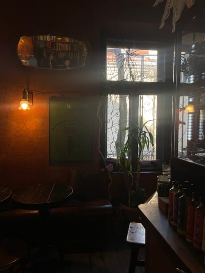 The image captures the warm and intimate interior of an establishment in Kraków, possibly a pub, cafe, or bookstore, during the daytime. The scene is characterized by dramatic lighting, with bright sunlight streaming through a large window contrasting with the dimly lit interior.
A multi-pane window dominates the central upper portion of the frame, revealing an exterior view with intricate wrought ironwork on a building or fire escape, bathed in bright sunshine. Plants with long, trailing leaves are visible around the window frame and on the windowsill, softening the lines.
On the left side of the room, a tall, irregularly shaped mirror with a wooden frame reflects a wall of tightly packed bookshelves and a person, presumably the photographer, holding a phone or camera. The person in the reflection appears to have short, dark hair and wears dark clothing. Below the mirror, a wall-mounted sconce with a frosted glass shade emits a soft, warm light, casting a glow on the reddish-brown wall, which features a subtle, patterned texture.
To the right of the mirror and above the wall sconce, a rectangular green sign or poster is visible. Faint white text on this sign clearly reads "BROWAR MIESZCZANSKI" and "PILSNER," indicating a connection to a brewery, likely a "Townsman's Brewery" specializing in Pilsner beer.
The right side of the image features a dark wooden counter or bar with various bottles and jars neatly arranged on it. Below this, dark wooden table tops or stools are partially visible in the shadows, suggesting seating arrangements. More potted plants are placed on shelves or surfaces near the bar.
The strong, direct sunlight filtering through the window suggests it is either morning or late afternoon. The overall atmosphere is cozy and inviting, with a rich, rustic feel created by the dark wood, patterned wall, and warm lighting. The combination of bookshelves, a potential bar, and ambient lighting implies a welcoming space for relaxation or socializing.