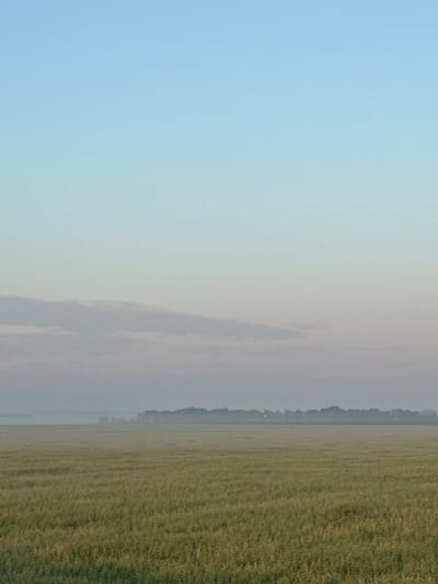 A low-angle, vertical, outdoor shot captures a vast, green field under a pale blue sky with a hint of pink near the horizon. The field stretches to the horizon where a thin line of trees is visible, partially obscured by a light mist. A faint horizontal cloud band stretches across the mid-sky, adding a subtle layer to the otherwise clear, soft gradient of the sky. The image appears to be a landscape photograph taken in or near the village of Nizhegorodka, Russia, given the open fields and distant tree line suggestive of a rural or semi-rural environment. No people, animals, or man-made structures are readily apparent in the foreground or mid-ground. The overall impression is one of serene, expansive natural beauty.
