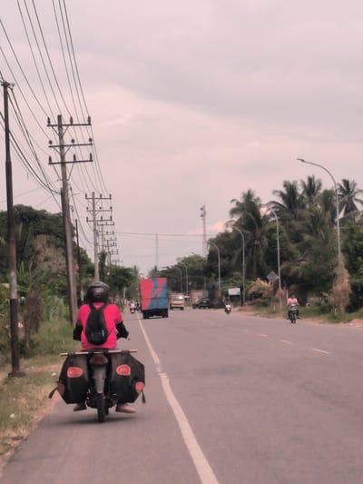 A person on a motorcycle, viewed from behind, travels along a two-lane asphalt road in Payarangkuluh, Indonesia. The rider wears a black helmet, a bright pink t-shirt, and a black backpack. Two large black saddlebags with circular red "J&T" logos are attached to the rear of the motorcycle.
The road is lined with lush tropical vegetation, including numerous palm trees and dense bushes. On the left side, a series of wooden utility poles with multiple power lines extends into the distance, connecting overhead. On the right, street light poles with curved arms are visible.
In the midground, a large truck with a blue and red tarpaulin covering its cargo is driving in the opposite direction. Several other motorcycles are also on the road; one is seen on the right side, ridden by a person in a light-colored shirt, and another small truck or van is further down. A tall telecommunications tower is visible in the far distance on the right.
The sky is overcast and appears hazy or dusty, suggesting a cloudy day without direct sunlight. The scene depicts a typical day of travel or commuting on a rural or semi-rural Indonesian road. The "J&T" logos on the saddlebags indicate the possibility that the rider is a delivery person for the Indonesian logistics company J&T Express.