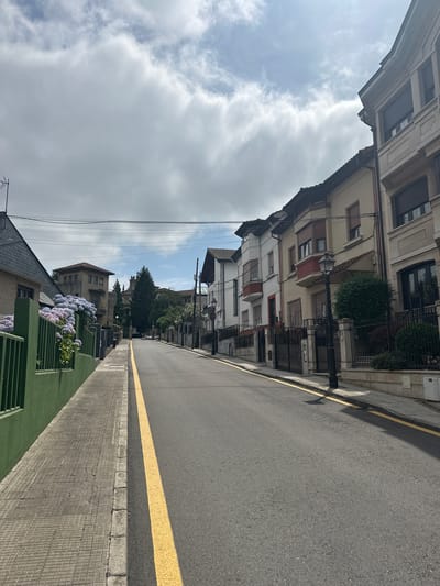 This image depicts a street scene in Oviedo, Spain, characterized by a slightly uphill asphalt road with a bright yellow dividing line. The road is flanked on the left by a tiled sidewalk and a vibrant green fence, behind which are lush purple hydrangeas and a slate-roofed building. On the right side of the road, a series of multi-story houses with traditional architecture are visible. These houses feature balconies, bay windows, and dark-colored shutters. A black ornate street lamp stands on the right sidewalk, and an electric pole with wires is present in the background. The sky is predominantly cloudy, with patches of blue visible, suggesting a partly cloudy day. The overall environment appears to be a residential area within the city.