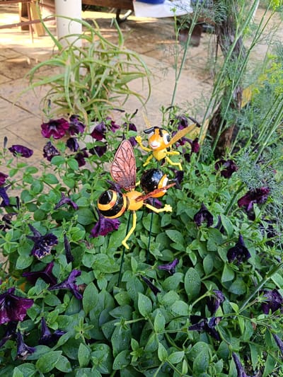 This is a close-up, eye-level, medium shot photograph of two decorative bee figurines placed amongst dark purple petunias and green foliage in the city of Kepsha, Russia. The figurines are yellow and black with translucent wings, positioned on green metal stakes. One bee is higher and to the right, facing left with its head tilted and wings spread. The other bee is lower and to the left, facing right with its head down and wings spread. The flowers are wet, suggesting recent rain. The background is blurred, showing what appears to be a patio and some sort of natural vegetation. The lighting is natural and soft, indicating an overcast or shaded environment.